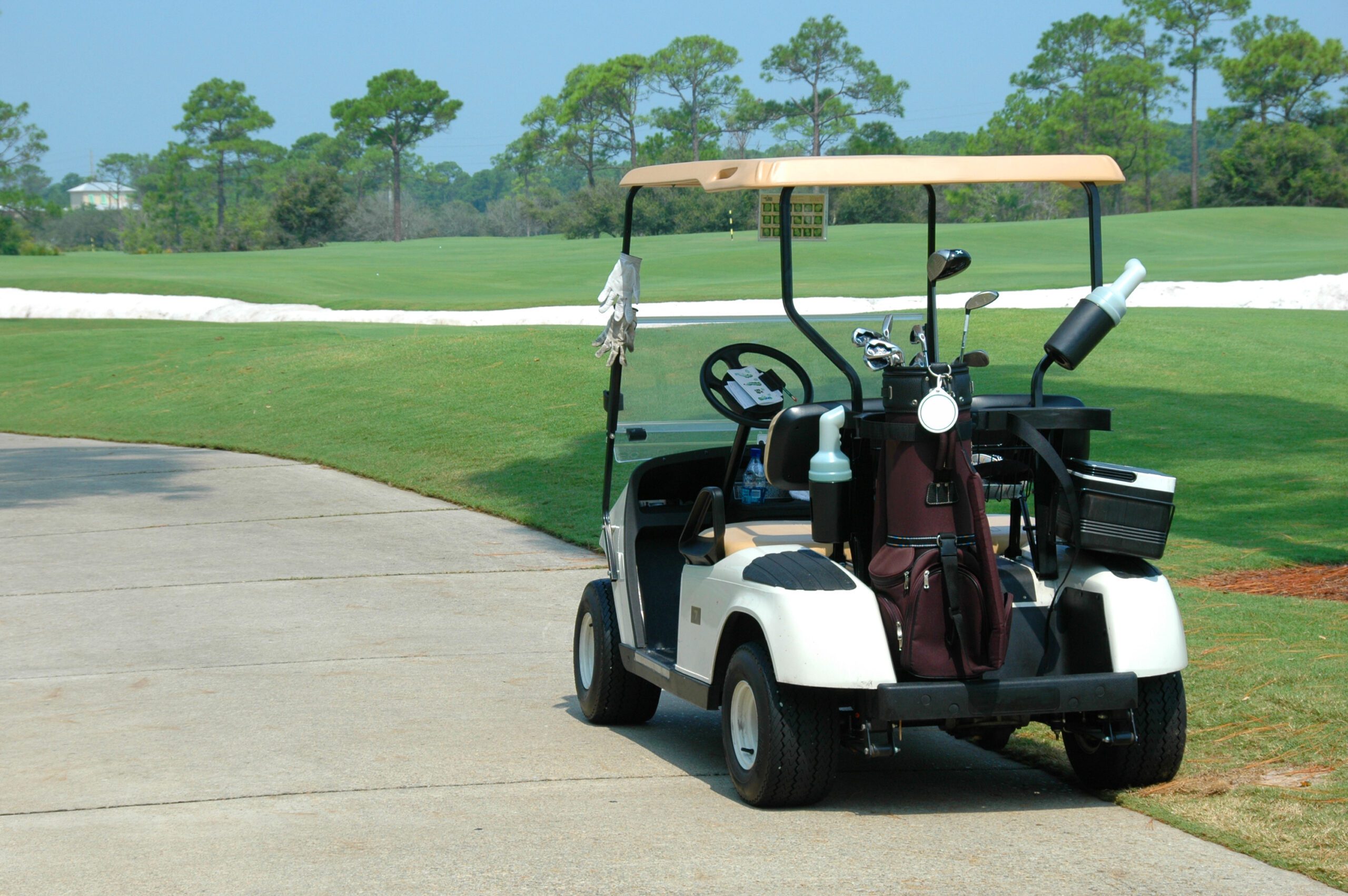 Golf Cart Security